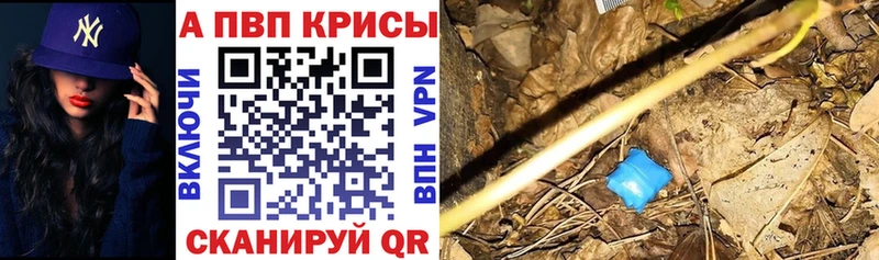 дарнет шоп  сайты даркнета какой сайт  мега зеркало  A PVP СК КРИС  Тотьма 