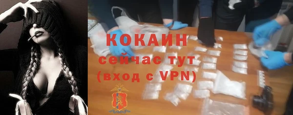 шишки Балабаново