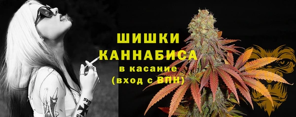 a pvp Пересвет